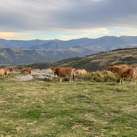 펜션 La Casa Del Mayoral